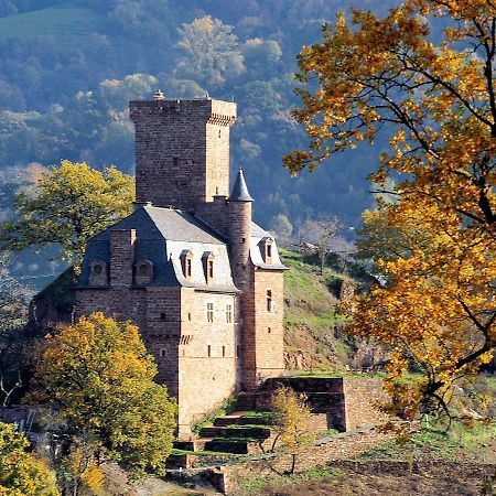 Chateau La Servayrie - Chambre D'Hotes Marcillac-Vallon Exterior foto