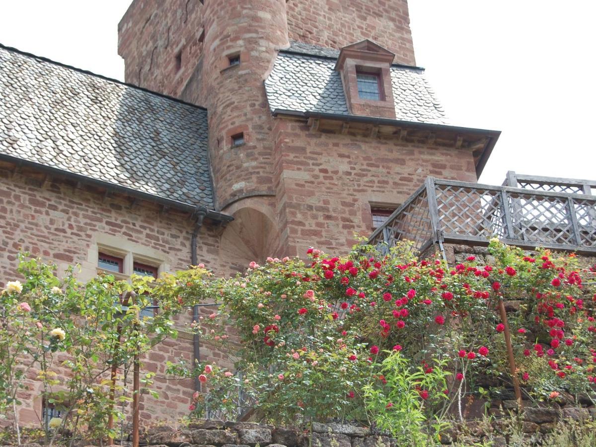 Chateau La Servayrie - Chambre D'Hotes Marcillac-Vallon Exterior foto